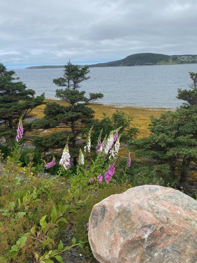 Вилла Rocky Harbour Oceanfront Экстерьер фото