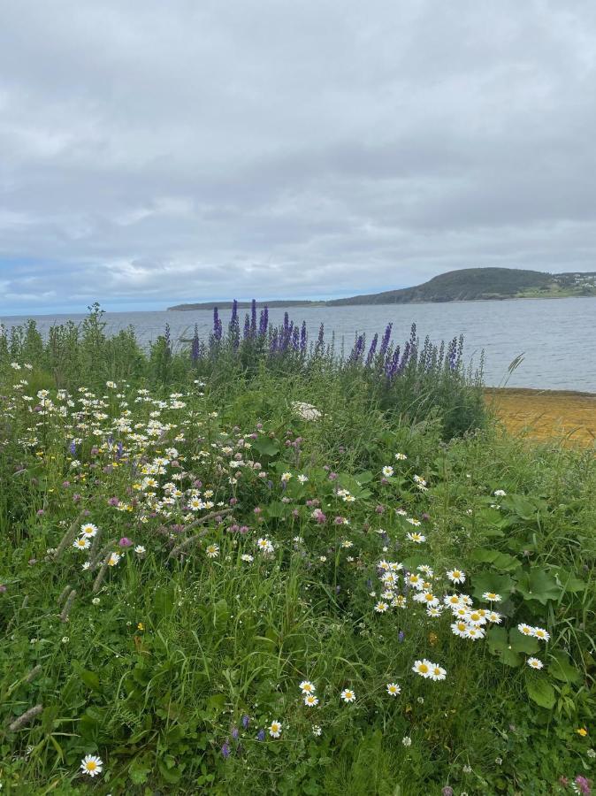 Вилла Rocky Harbour Oceanfront Экстерьер фото